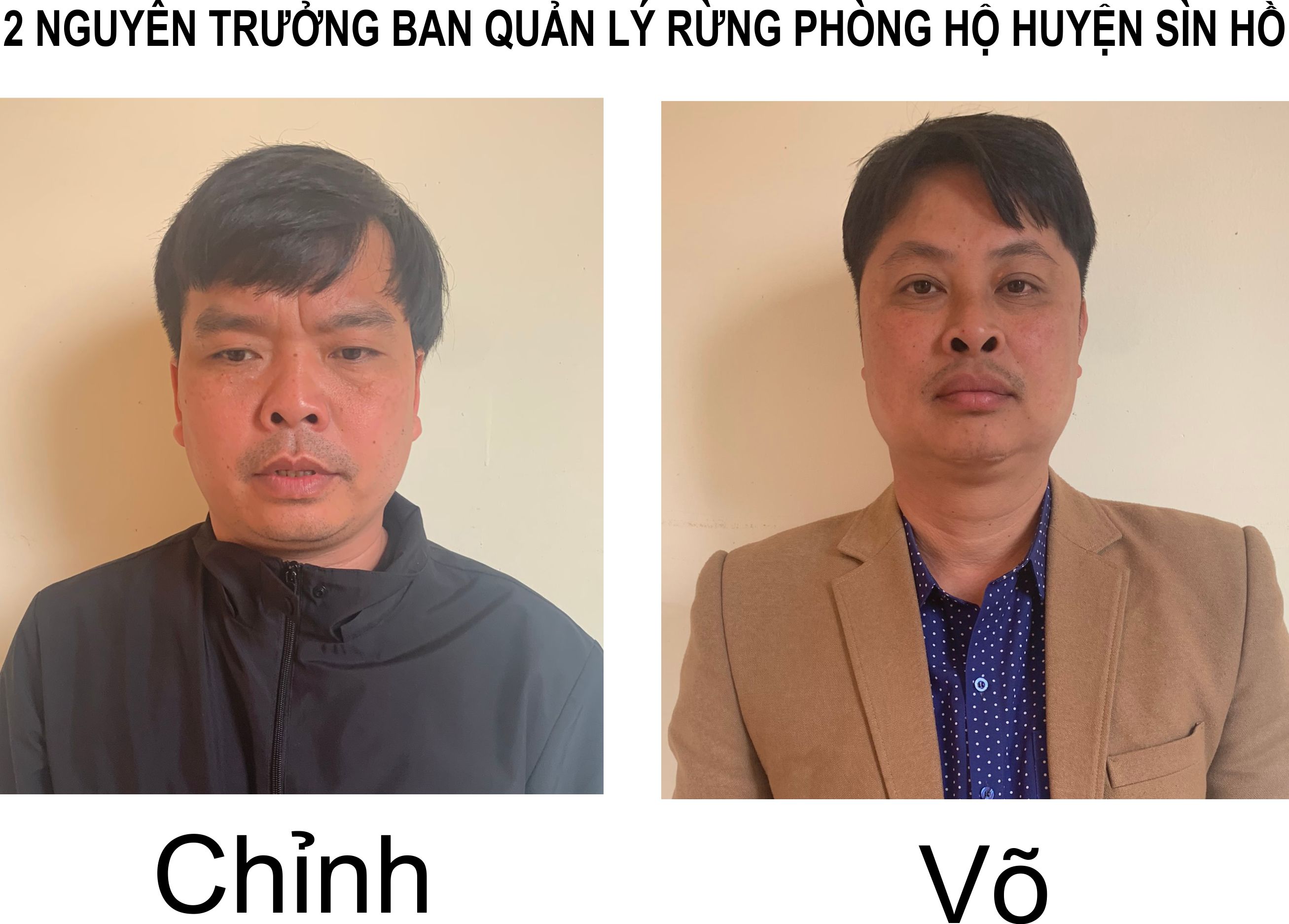 2 nguyên Trưởng ban quản lý rừng phòng hộ huyện Sìn Hồ bị tạm giữ