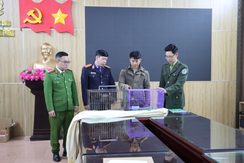 ​​​​​​​Đối tượng Vàng A Chính(người thứ 3 từ bên trái sang) cùng tang vật tại cơ quan cảnh sát điều tra