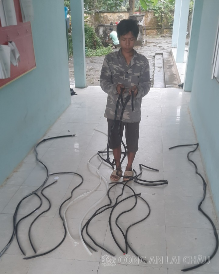 Bắt giữ 02 bị can về hành vi: Trộm cắp tài sản