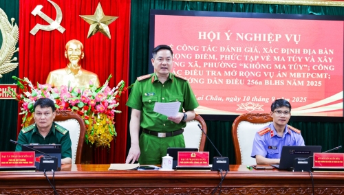 Đại tá Phạm Hải Đăng – Phó Giám đốc, Thủ trưởng Cơ quan CSĐT Công an tỉnh phát biểu kết luận.