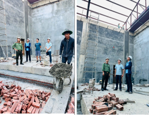 Kiểm tra, giám sát tại công trình