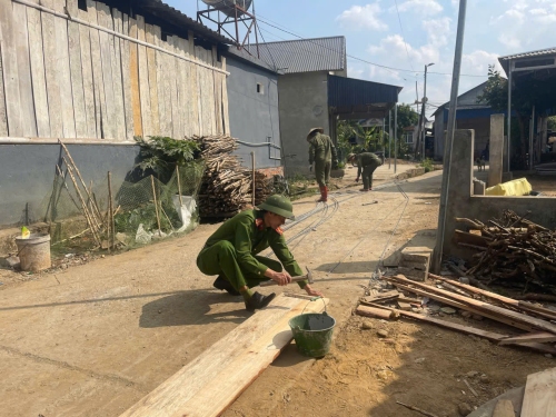 Lực lượng Công an xã, ANTT ở cơ sở giúp gia đình làm nhà.