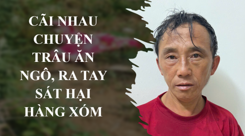 Cãi nhau chuyện trâu ăn ngô, ra tay sát hại hàng xóm