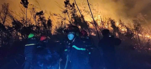 Khuyến cáo đảm bảo an toàn Phòng cháy, chữa cháy rừng mùa hanh khô