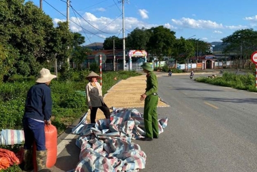 Công an xã Tân Uyên giúp nhân dân thu hoạch lúa, chung tay bảo đảm an toàn giao thông.