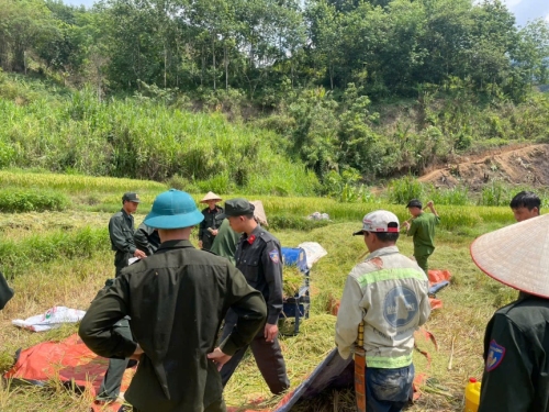 Phòng Cảnh sát cơ động: Giúp dân gặt lúa trước nguy cơ thời tiết diễn biến phức tạp