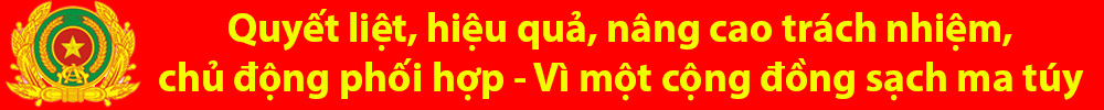 phongchongmatuy
