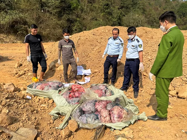 Phòng Cảnh sát môi trường phối hợp với đơn vị chức năng tiến hành tiêu hủy tang vật vi phạm