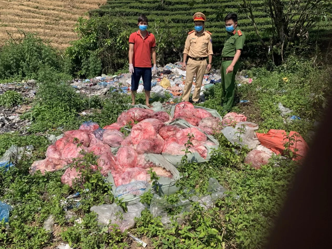 Lực lượng chức năng tiêu hủy theo quy định