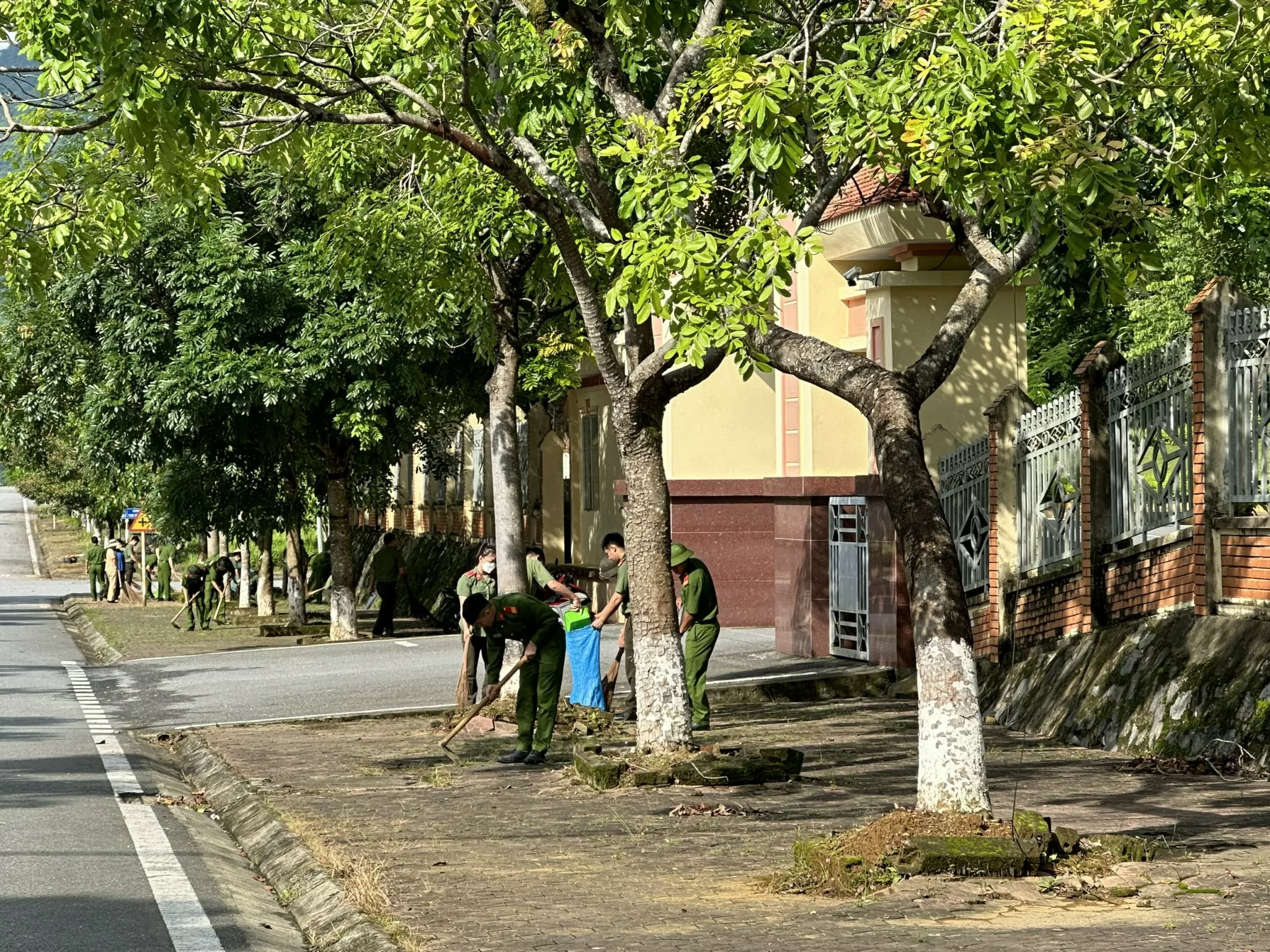 ảnh 1