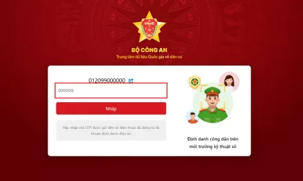Hướng dẫn sử dụng tài khoản VNEID nộp hồ sơ trên cổng dịch vụ công