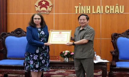 Hoạt động viện trợ của các tổ chức phi chính phủ nước ngoài