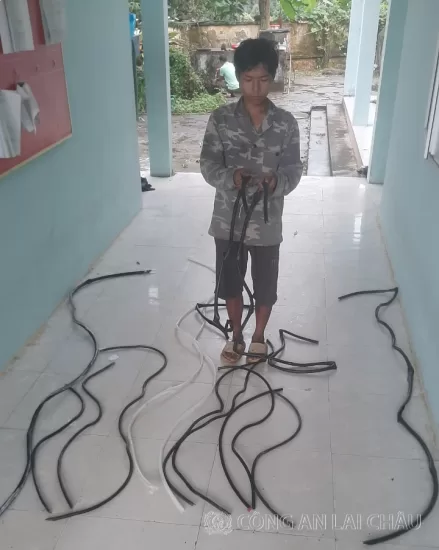 Bắt giữ 02 bị can về hành vi: Trộm cắp tài sản