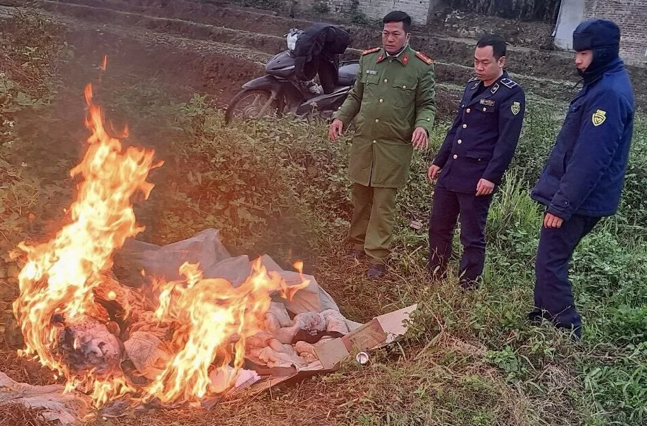 Lực lượng chức năng tiêu hủy nội tạng động vật thu giữ.