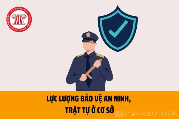 Lực lượng tham gia bảo vệ An ninh trật tự ở cơ sở thực hiện nhiệm vụ gì?