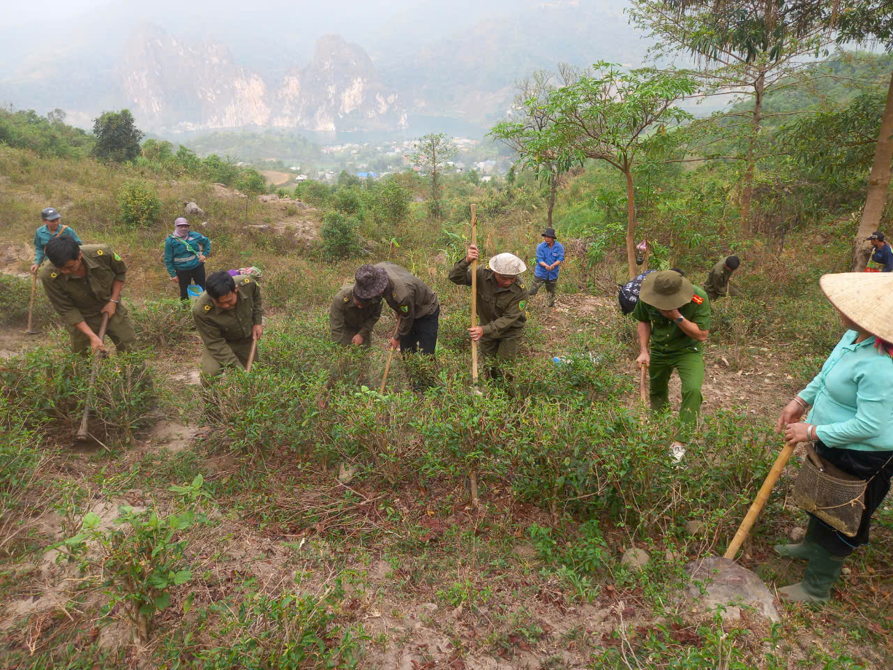 Công an xã Ta Gia hỗ trợ người dân chăm sóc cây chè