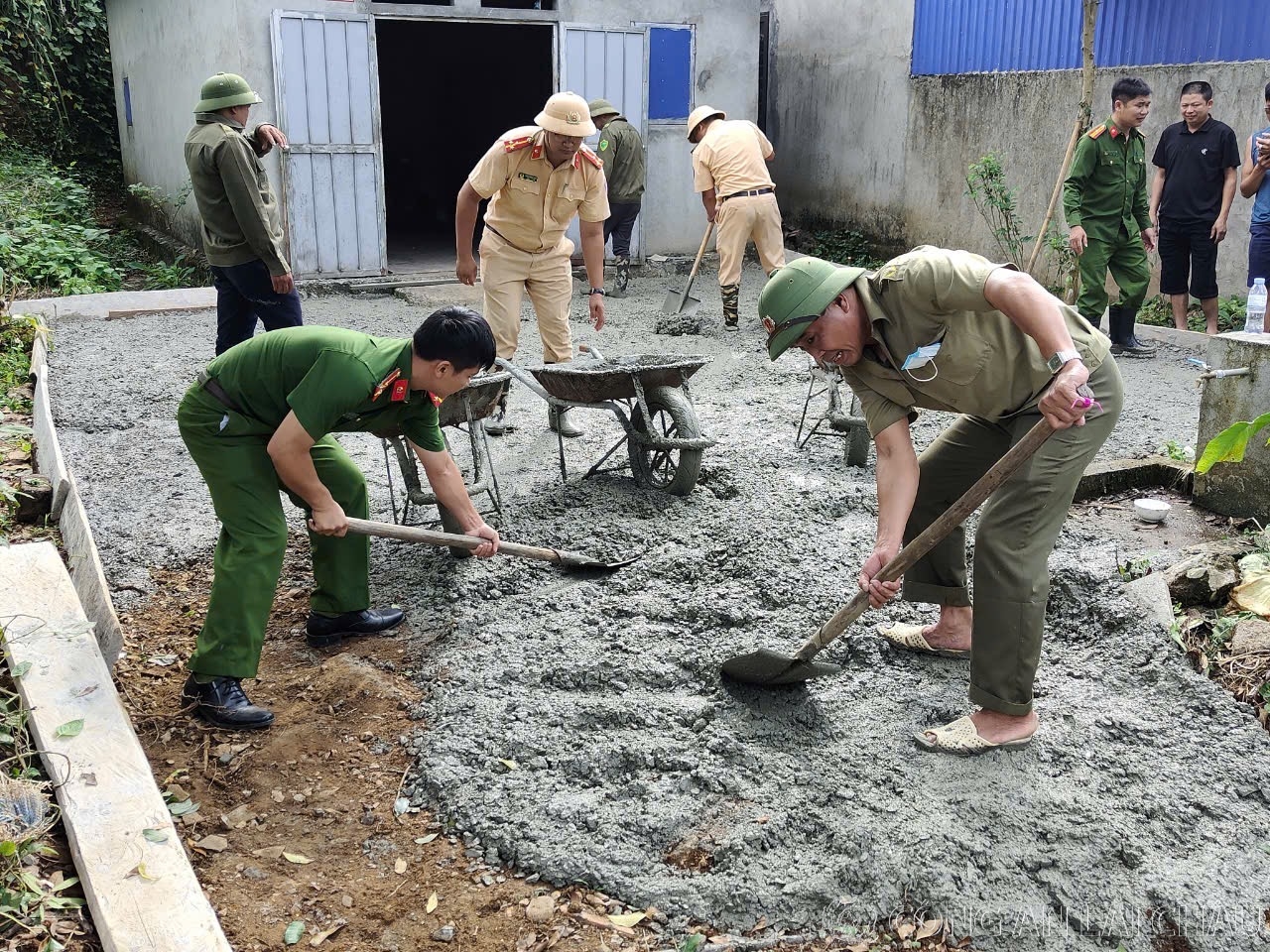 Đội Cảnh sát giao thông Công an huyện Tam đường phối hợp làm sân nhà cho hộ nghèo