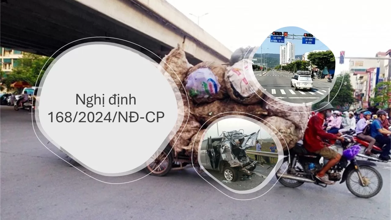 Nghị định 168 