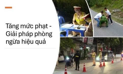 Tại sao cần tăng mức phạt và ai là người hưởng lợi?