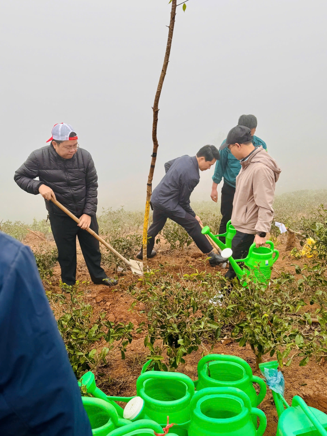 Đ/c Lò Văn Hương, Bí thư huyện ủy và đ/c Lê Minh Hiếu, phó bí thư huyện ủy hưởng ứng tết trồng cây