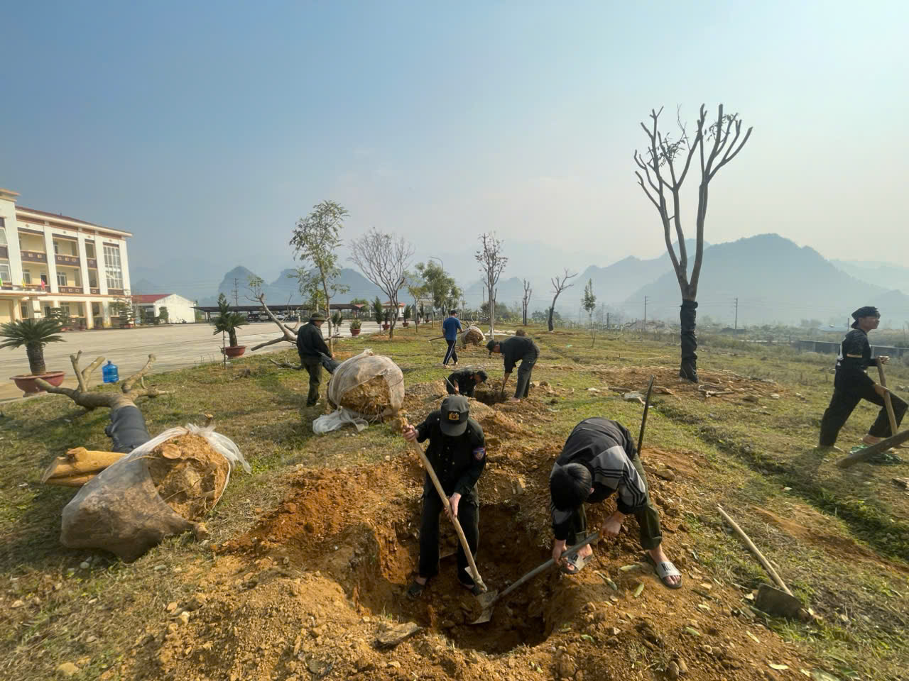 Đoàn viên thanh niên tích cực trồng cây xanh trong khuôn viên đơn vị