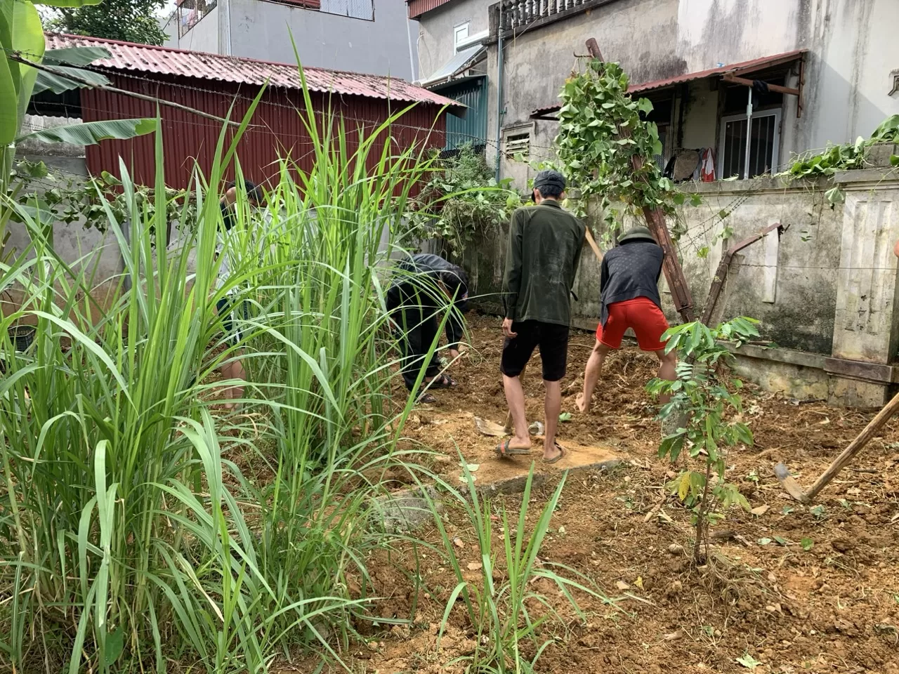 Ảnh: CBCS phát quang bụi rậm khu vực nhà ở