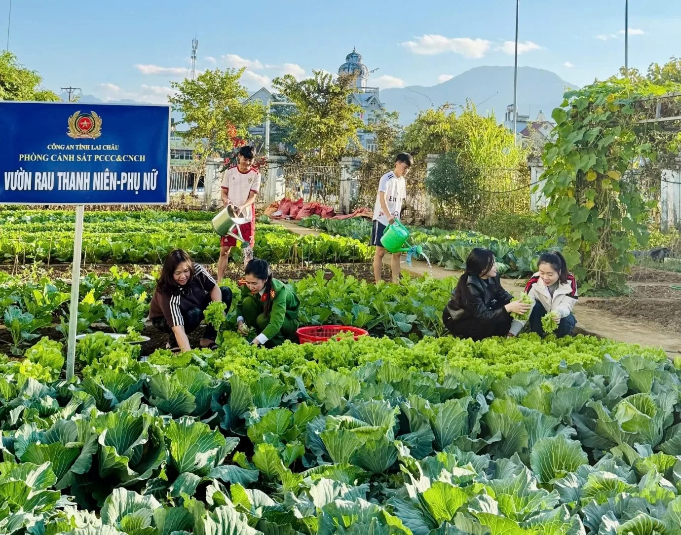 Thanh niên – Phụ nữ Phòng Cảnh sát PCCC và CNCH chung tay xây dựng công trình vườn rau xanh