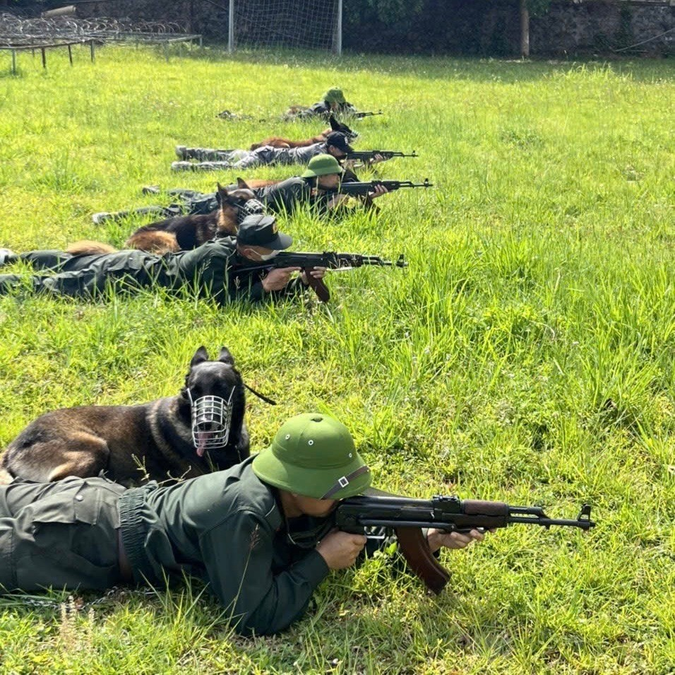 Cán bộ Đội Quản lý và sử dụng động vật nghiệp vụ tổ chức huấn luyện các động tác vận động cơ bản cho chó nghiệp vụ.