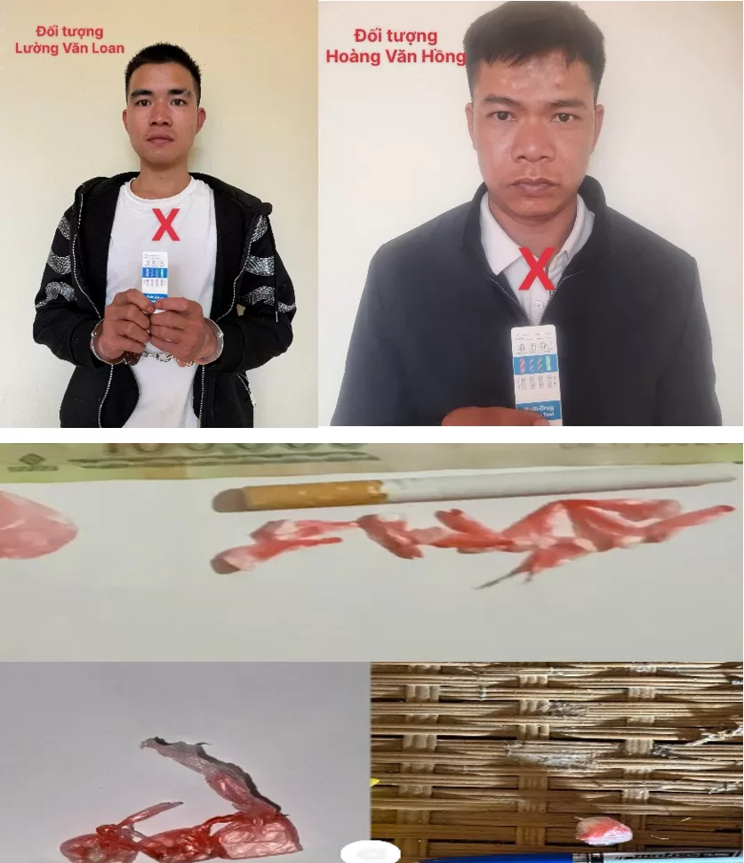 Toàn cảnh buổi sinh hoạt