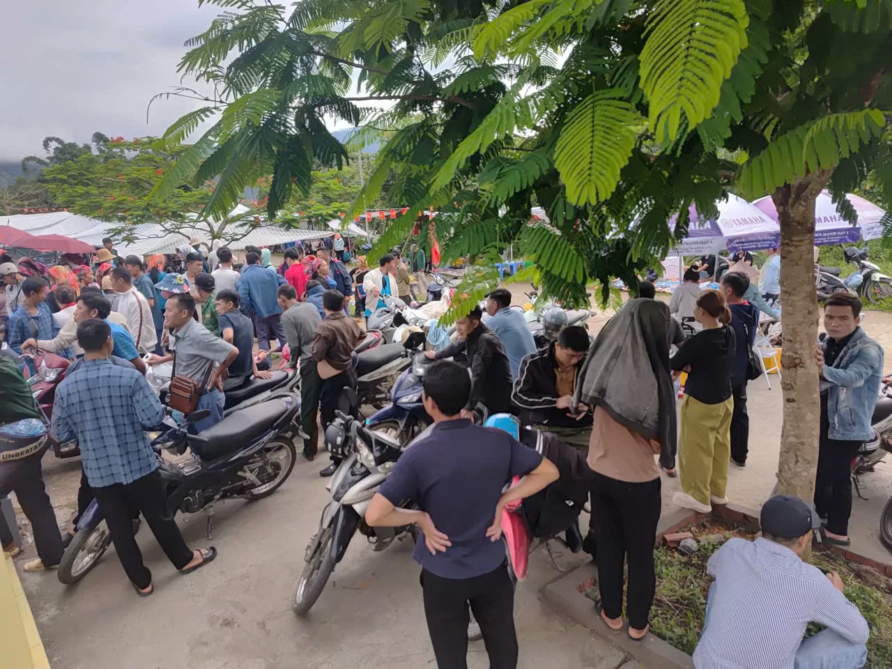 Nhân dân phân khởi đi nhận tiền dịch vụ môi trường rừng