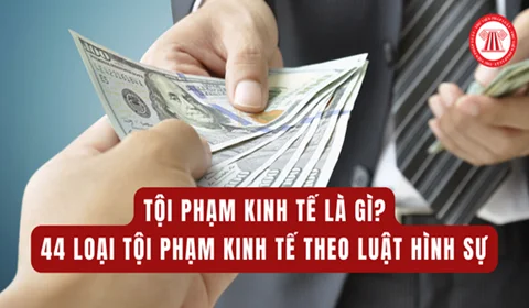 1. Tội phạm kinh tế là gì?