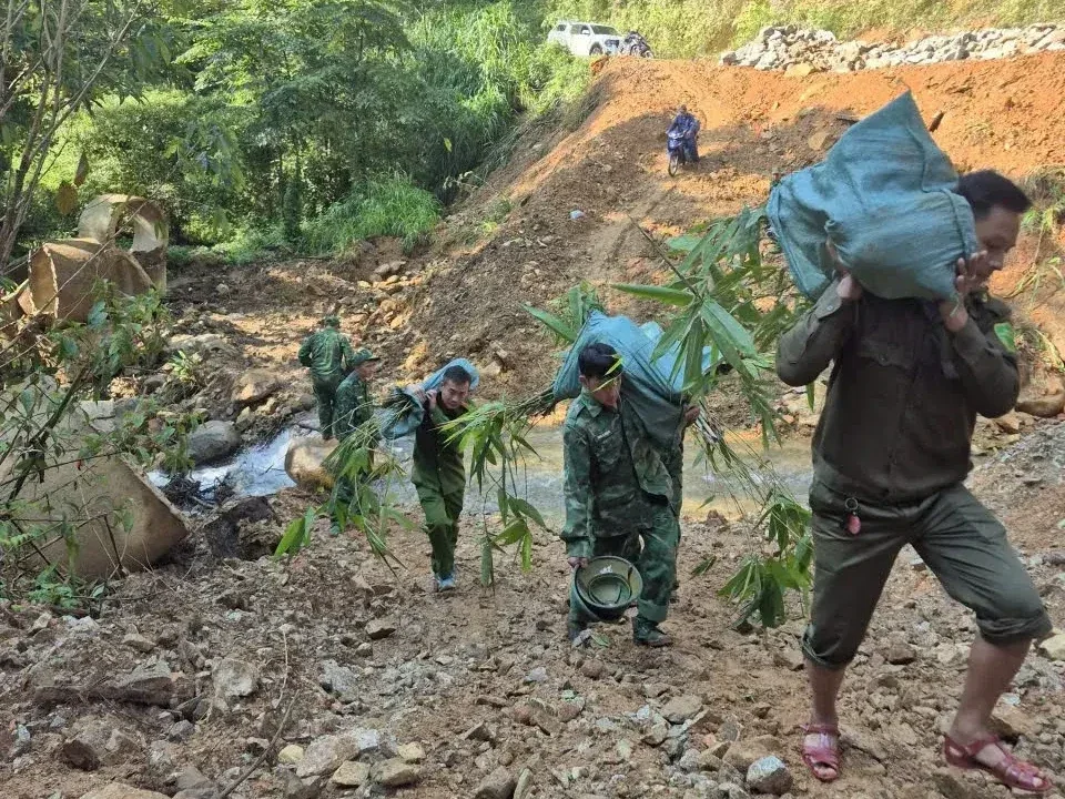 Tập kết cây tre để di chuyển lên Mốc giới số 48