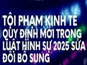 Nhận diện các tội phạm kinh tế phổ biến và chế tài xử lý theo quy định mới