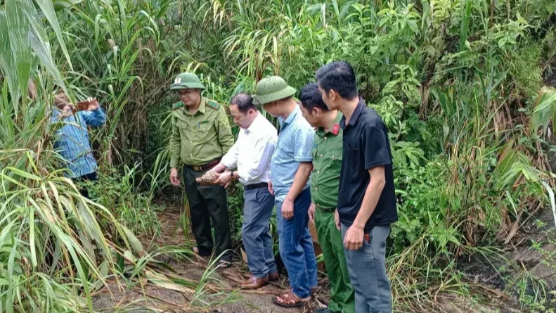 Một số hình ảnh các lực lượng và UBND xã thả cá thể Rùa núi vàng trở lại môi trường tự nhiên.