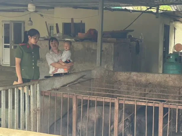 (Tuyên truyền cho hộ chăn nuôi cách phòng dịch LMLM trên đàn gia súc)