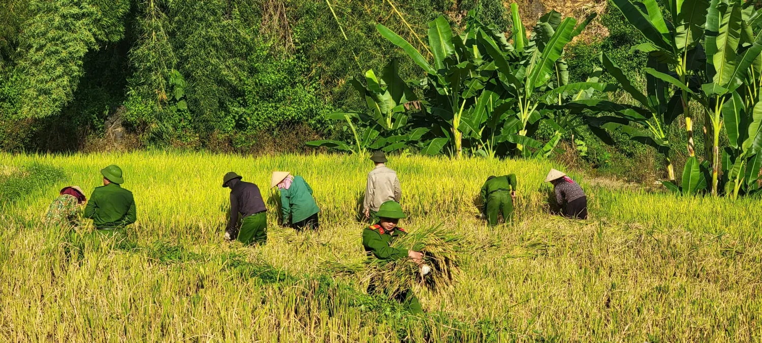 Chủ nhật xanh - Ấm tình quân dân trên cánh đồng Phan Lìn