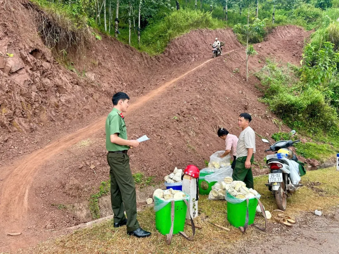 Đẩy mạnh phong trào Toàn dân bảo vệ an ninh Tổ quốc