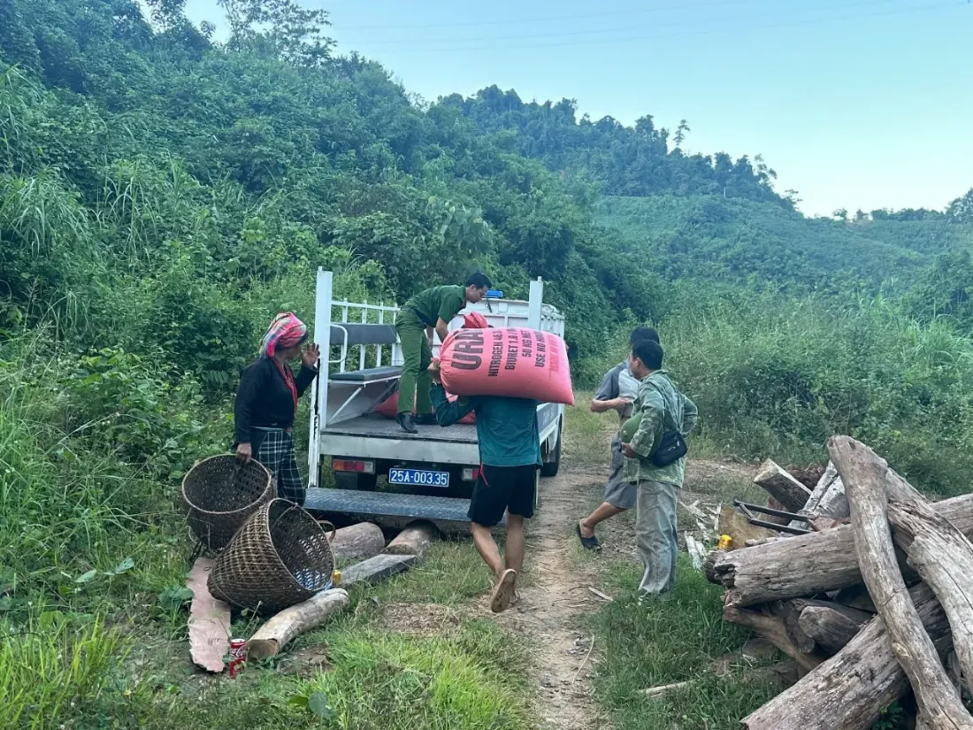 Công an xã Mường Mô tranh thủ sau giờ làm, hỗ trợ bà con nhân dân vận chuyển thóc về nhà.