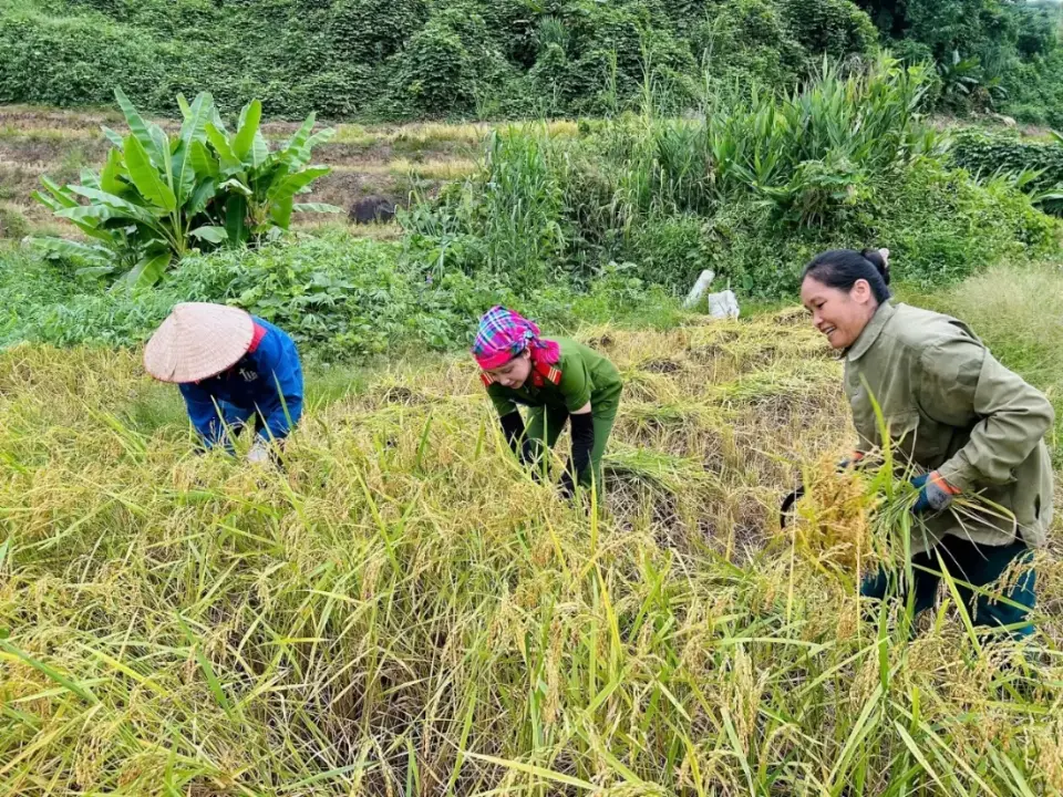 Thượng sĩ Lò Thị Hoan – Nữ chiến sĩ Công an xã Mường Mô: Vững vàng việc nước, vẹn toàn việc nhà.